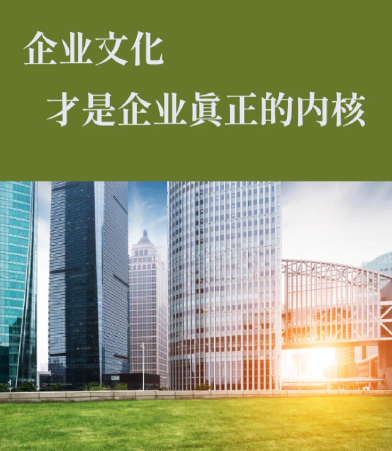 交叉渡线道岔定制方案：林州中恒机械煤矿轨道施工案例